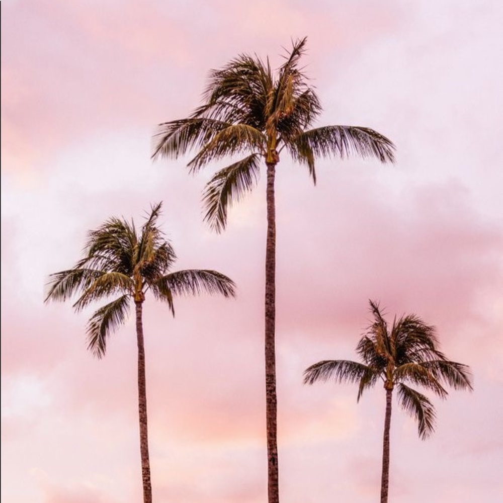 Meet your Posher, Ava